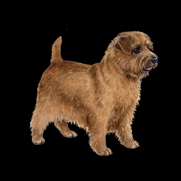 Vintage Norfolk Terrier Coaster Set - Picture 6 of 6